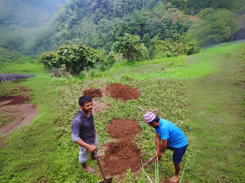 Farmers digging a pit