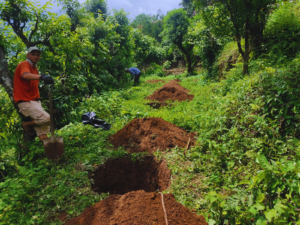 Pit preparation for afforestation